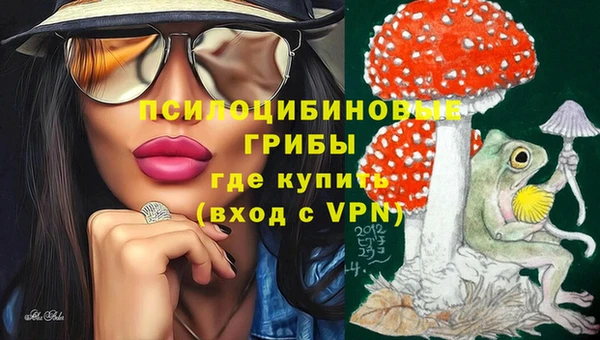 гидра Беломорск