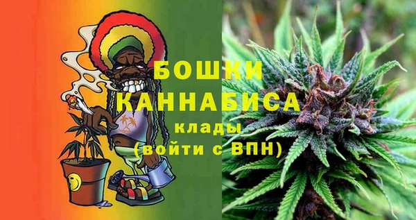 гидра Белокуриха