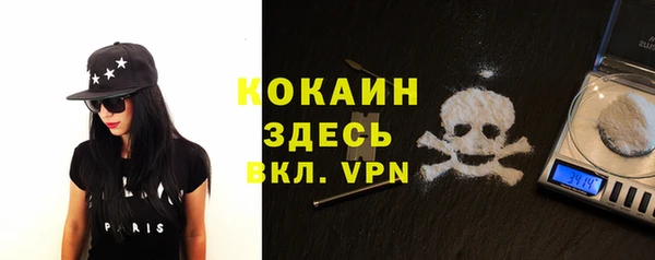 гидра Белокуриха