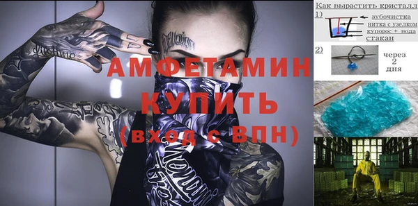 гидра Белокуриха